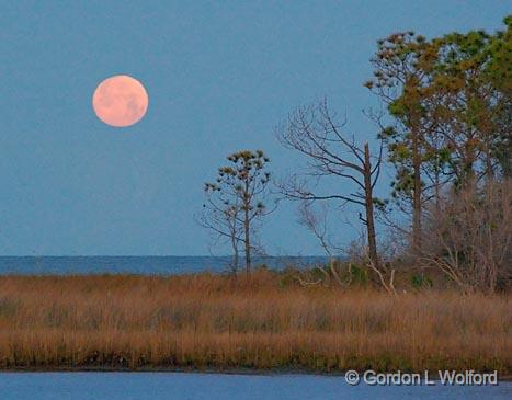 Dauphin Island Moonset_56087v2.jpg - Photographed from Dauphin Island, Alabama USA.